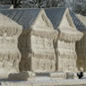 Meet your Posher, Cara